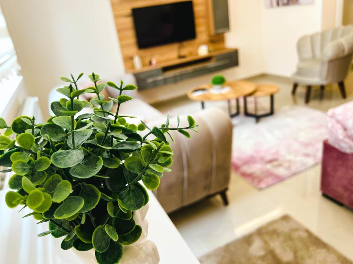 Old Town Luxury Suites Belgrad Exteriör bild